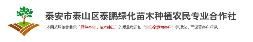 北京仁義通工程技術有限公司